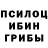 Псилоцибиновые грибы MAGIC MUSHROOMS Albisha Ivanova