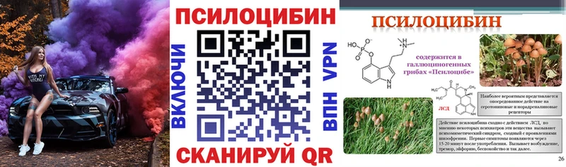 Псилоцибиновые грибы Psilocybine cubensis где купить наркотик Отрадная